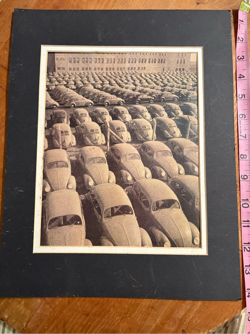 Vintage Sepia Beetle Photo Print Wall Art - Black Mat